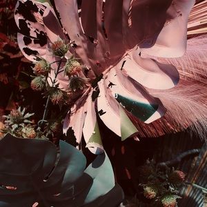 Meet your Posher, Mariah